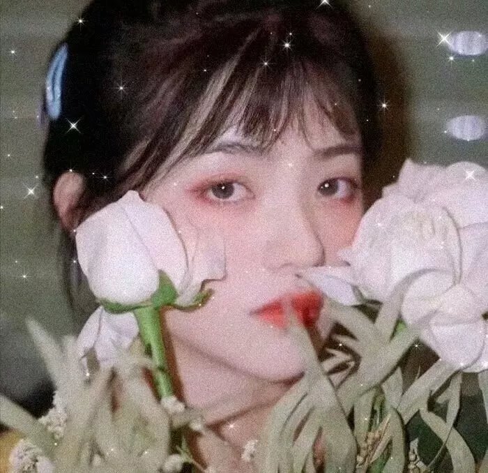 七先生与哑巴花