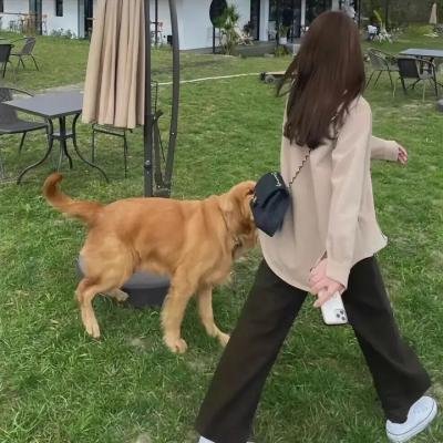 狐妖小红娘镜花缘篇